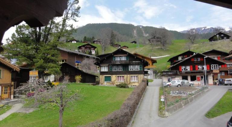 Hotel Steinbock Grindelwald — photo 4