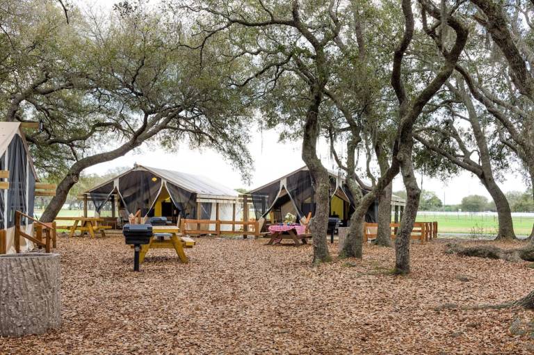 Westgate River Ranch Resort & Rodeo