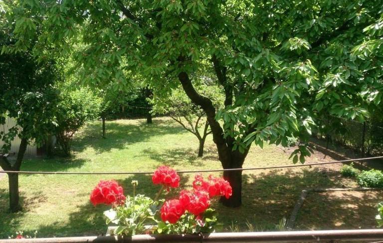 foto35