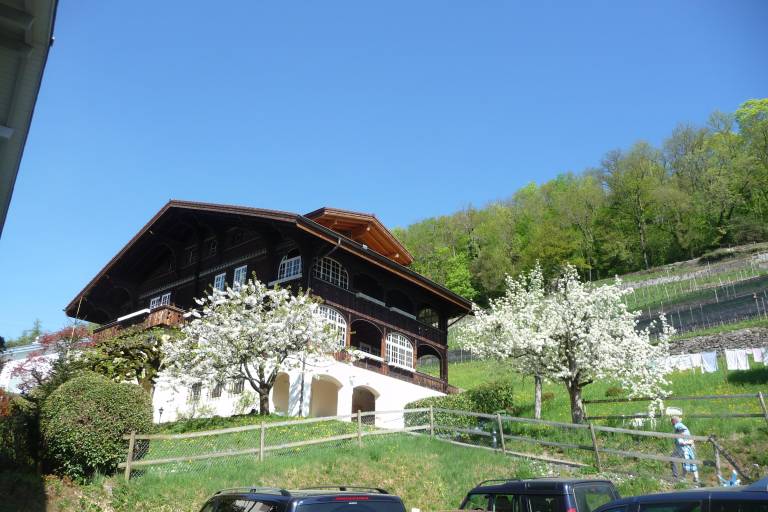 foto1