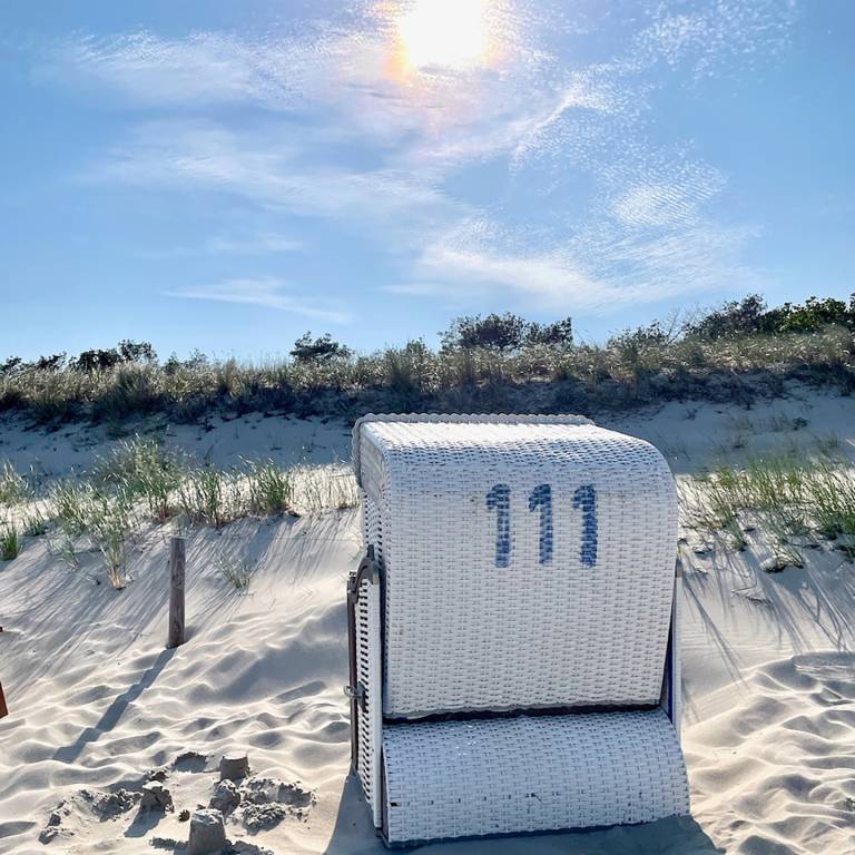 foto16