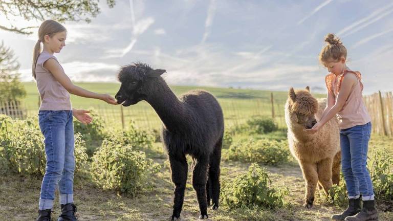 Ferienhaus Oberwesel