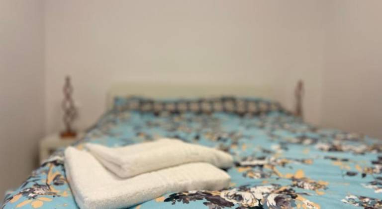 Lovely serviced apartment with terrace, grill & garden | Pets allowed in Brasov