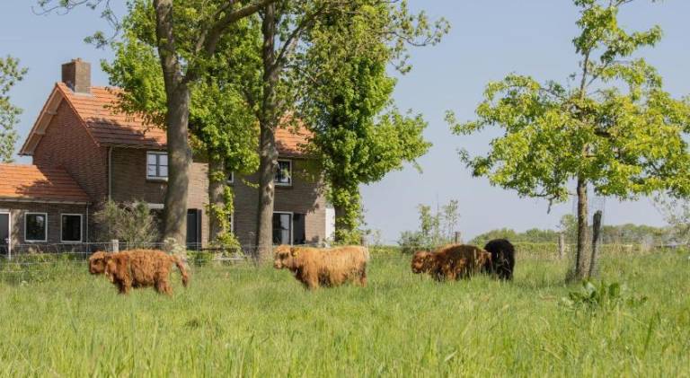 100 m&sup2; Ferienhaus