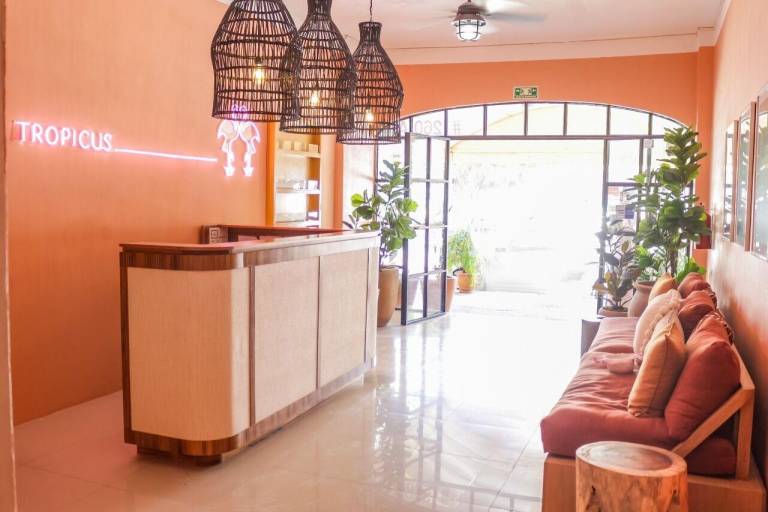 Hotel Tropicus Boutique — photo 3