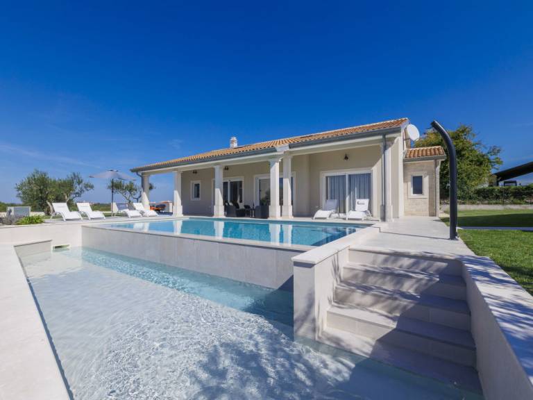House Baredine