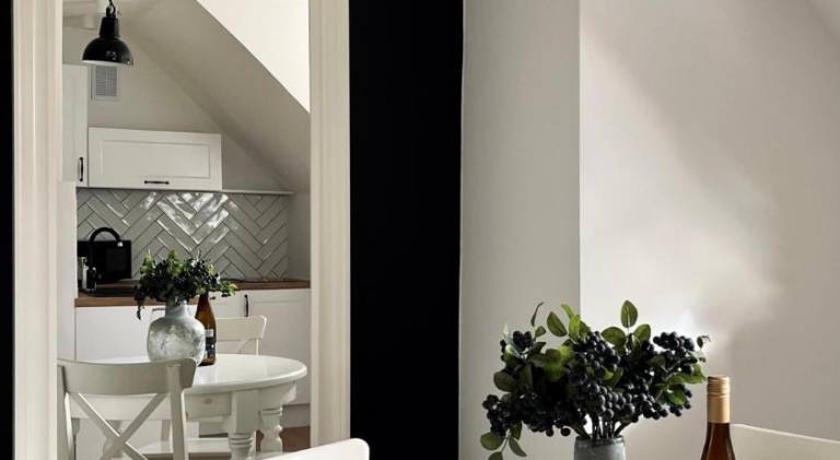 Beautiful rental apartment | Dogs allowed — photo 3