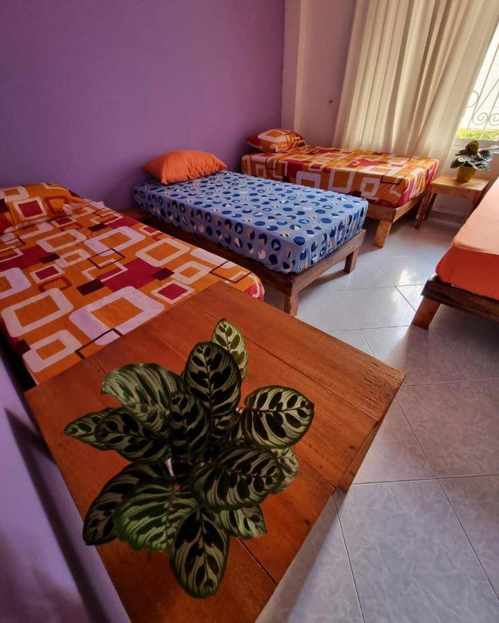 foto19