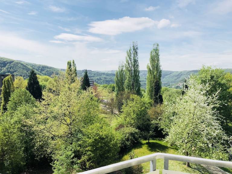 Ferienwohnung  Arzbach