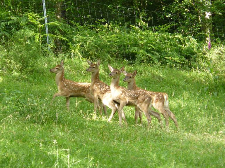 foto36