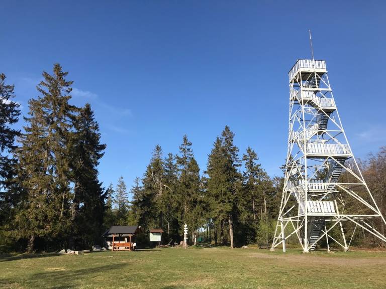 foto41