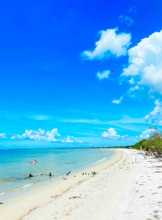Condo Punta Rassa