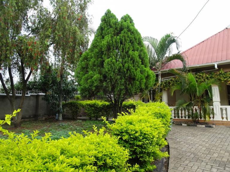 Blue Agama Guesthouse