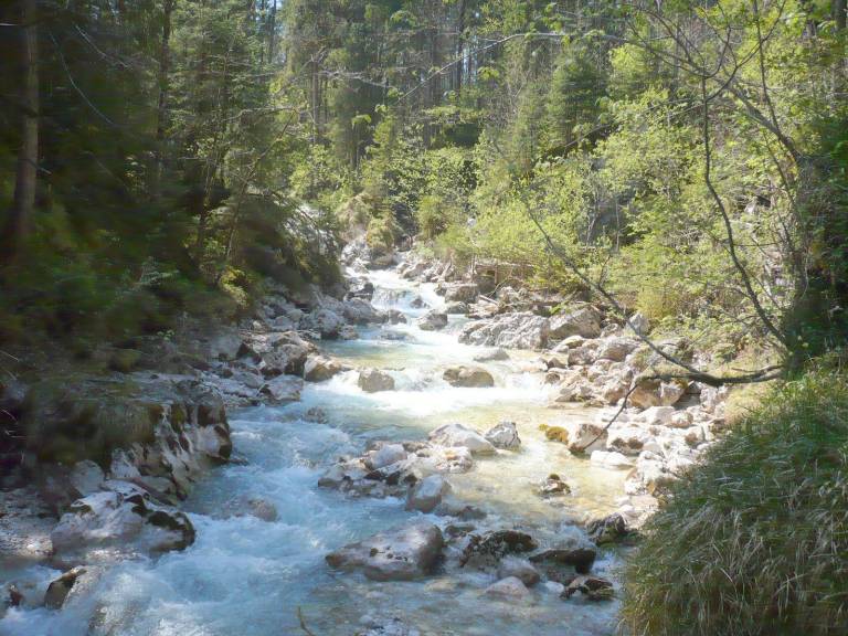 foto35