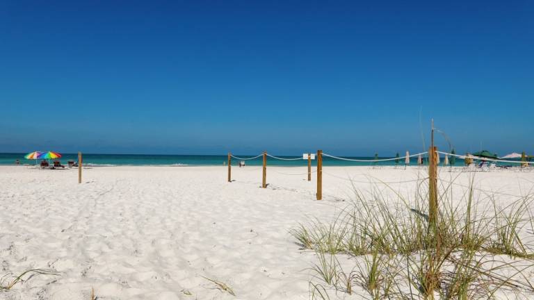 Ferienwohnung Siesta Key