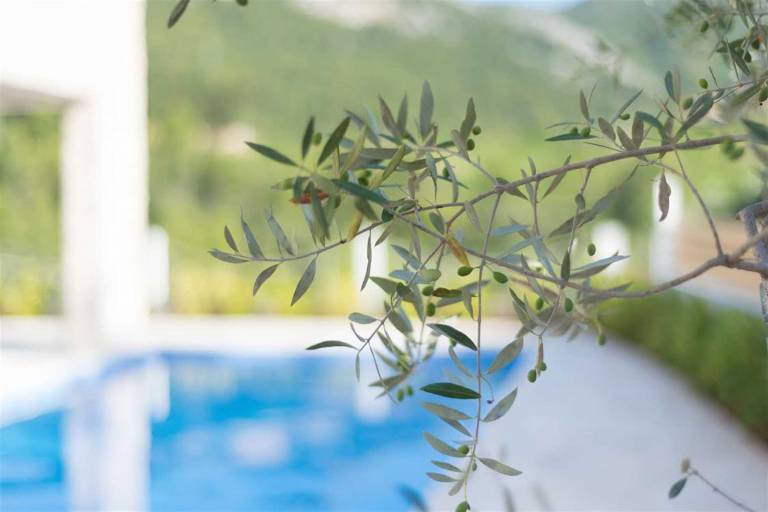 Villa Hvar Beauty with Swimming Pool — photo 3