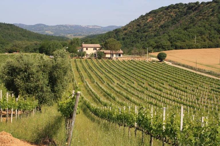 Privatzimmer Scansano