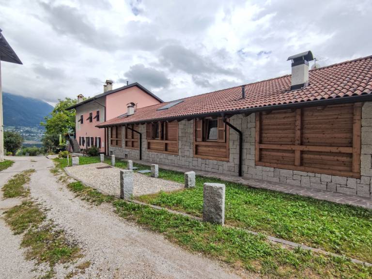foto19