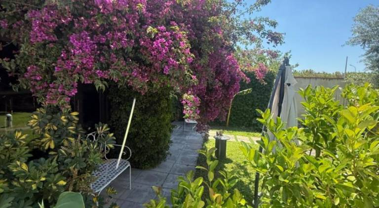 foto23