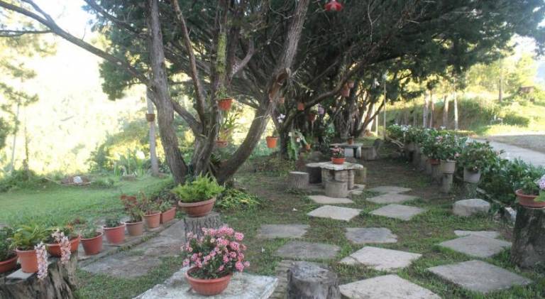 foto16