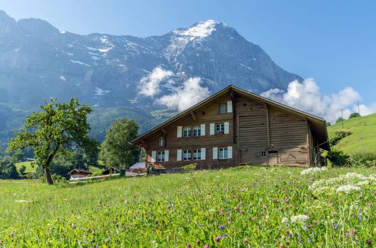 Ferienwohnung Grindelwald