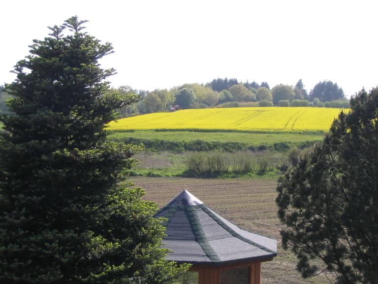 foto10