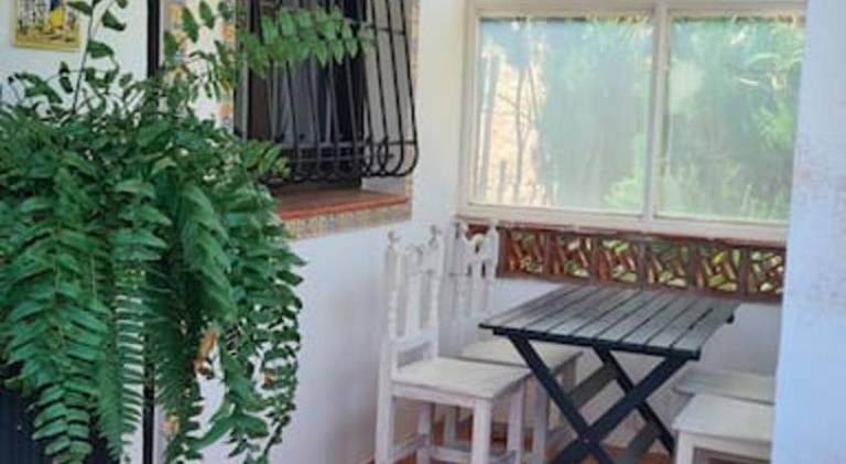 House with garden — photo 4