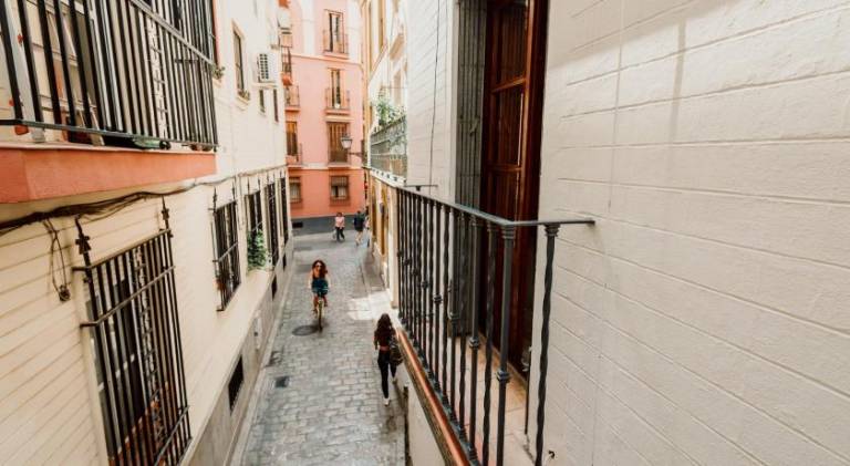 Holiday apartment | Near Seville Cathedral — photo 5