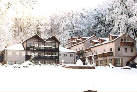 Schlosshotel Landstuhl — photo 3