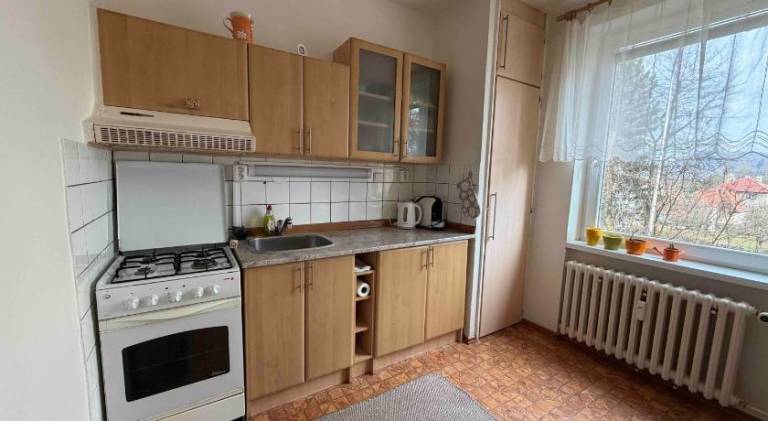 Apartment with 1 room for 3 persons — photo 4