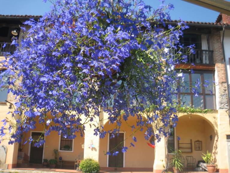 Bed & Breakfast Valdengo