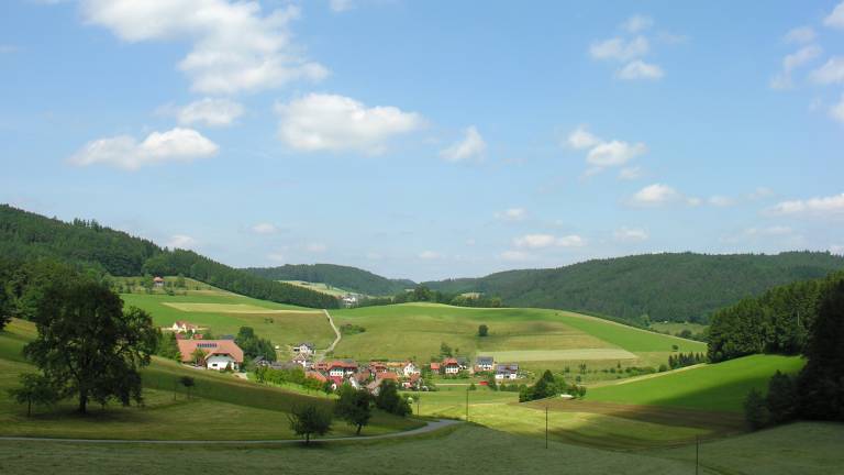 foto10
