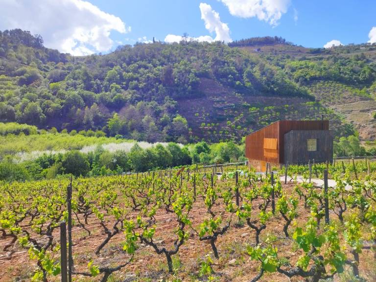 Vivenda Lamego