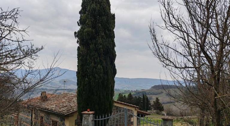 Holiday apartment with 1 room for 3 persons in Radicofani