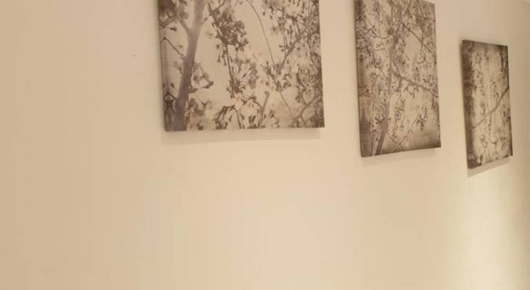 foto8