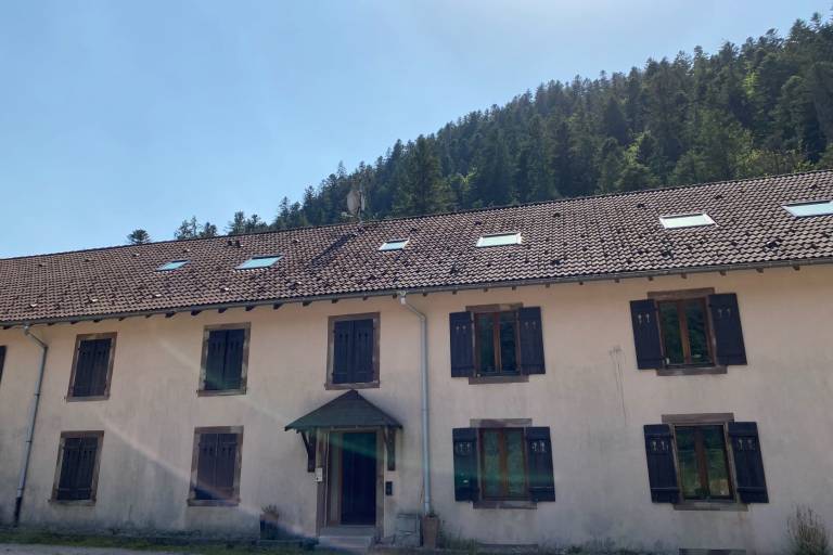 Bild zu c1c88acfae241aa0