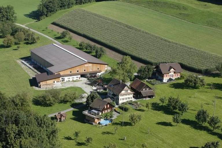 Apartment  Hohenrain