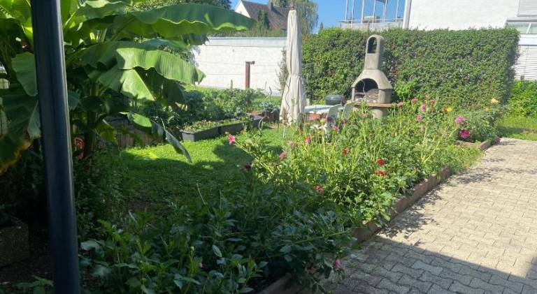 foto13