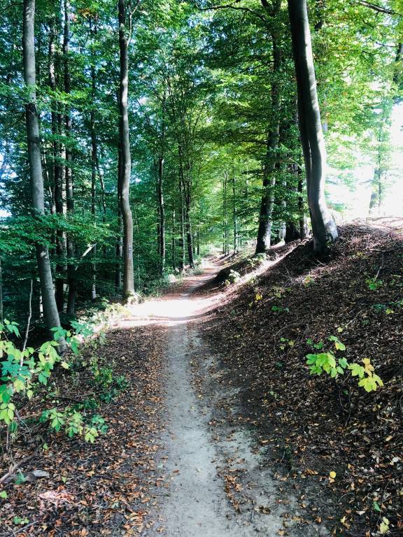 foto46
