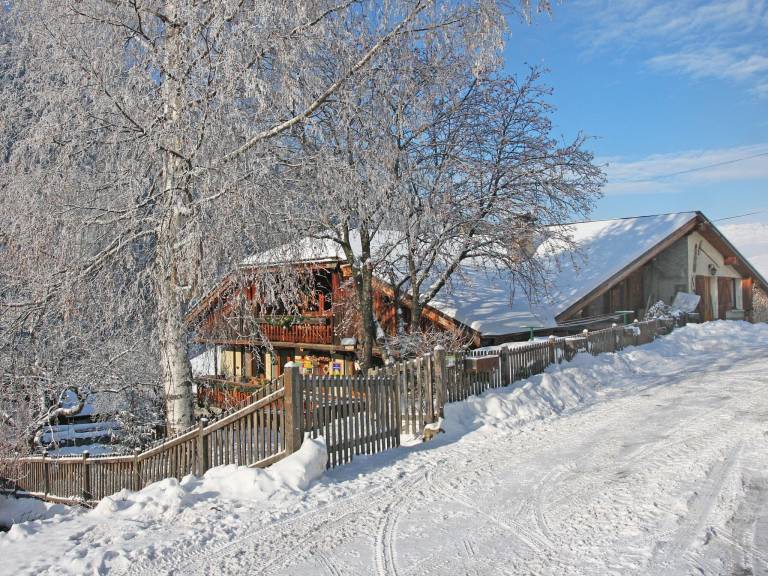 Ferienhaus in Peisey-Nancroix f&uuml;r max. 10 Personen