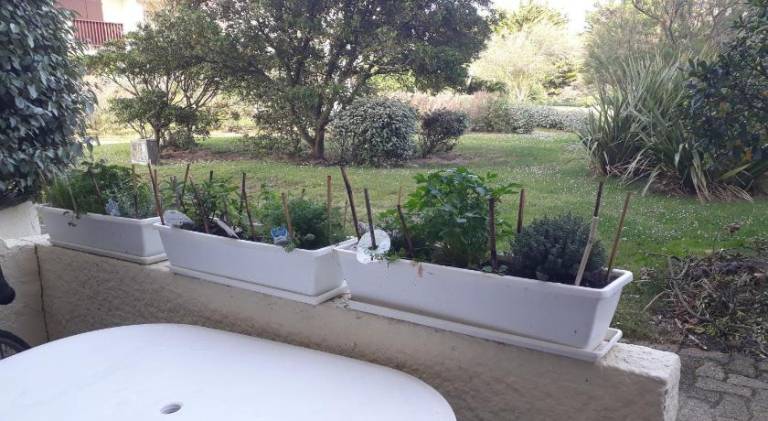Charming holiday apartment | Beach nearby | Pets are welcome — photo 4