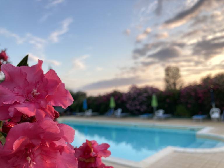 Camera privata Cecina