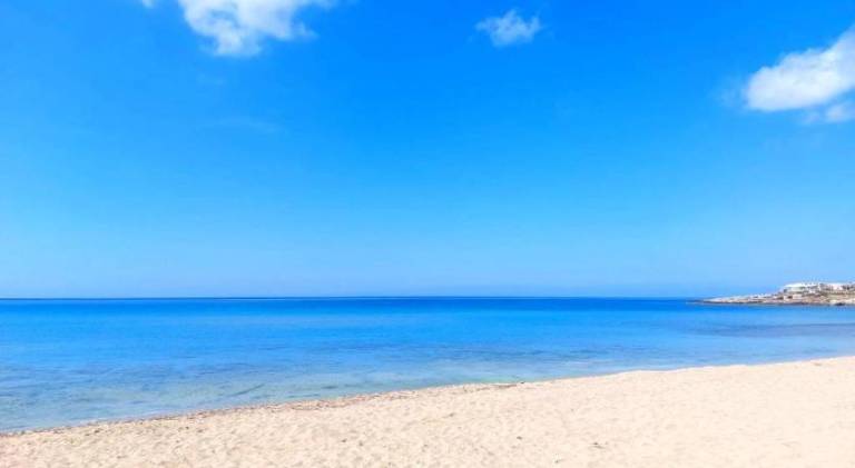 House | Close to the beach | Dogs allowed in Patu