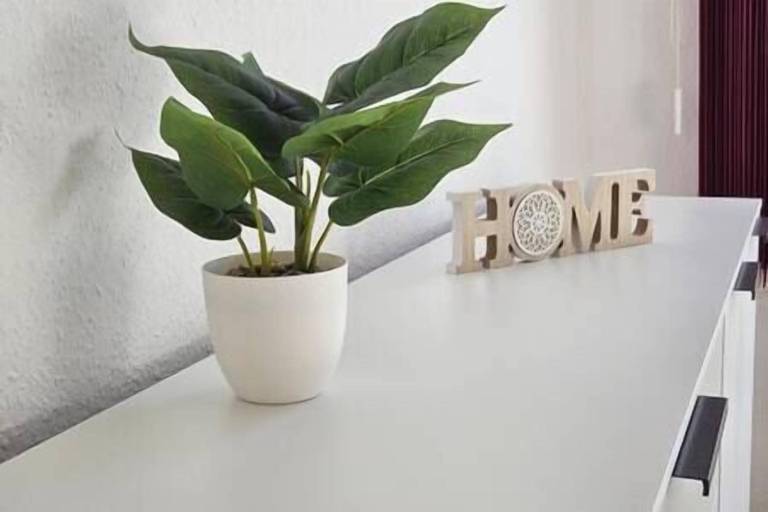 Ferienwohnung Plauen
