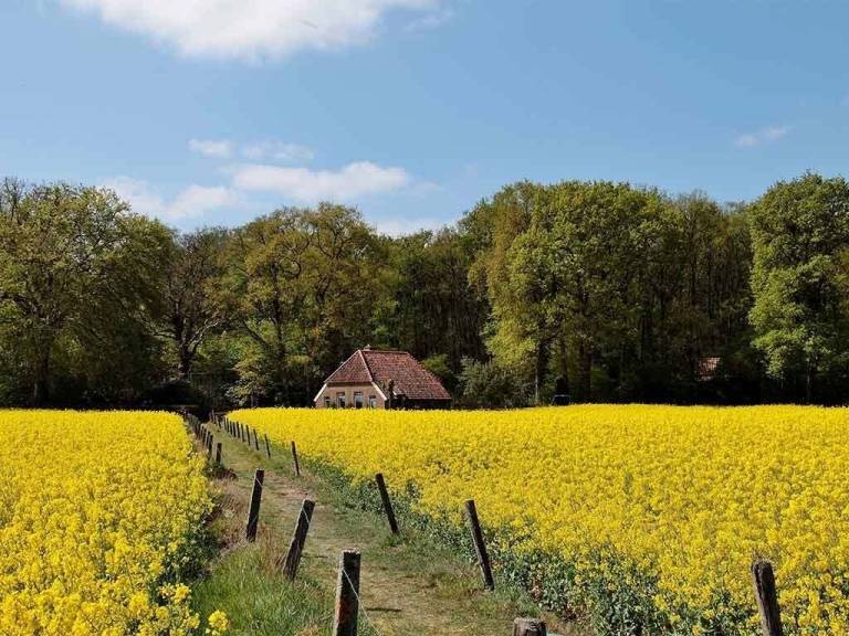 Maison de vacances Hellendoorn