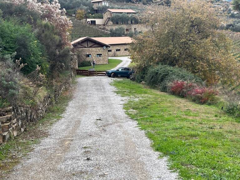 foto19