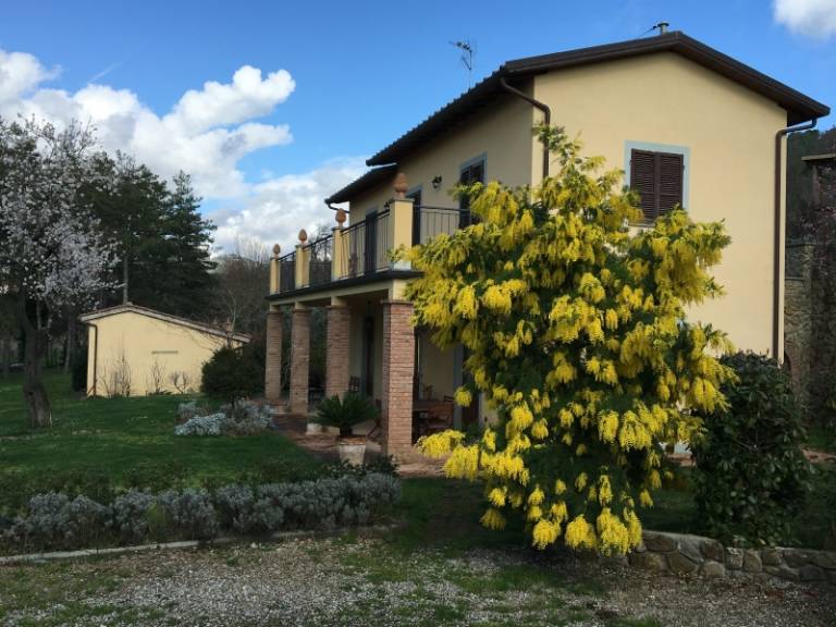 foto29