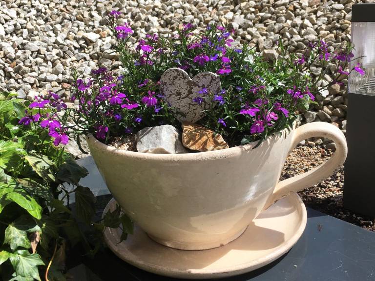 foto26