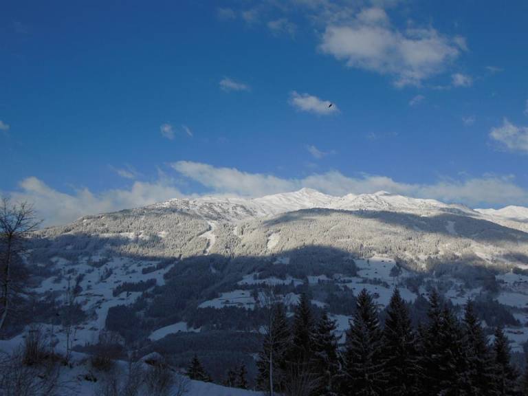 foto5