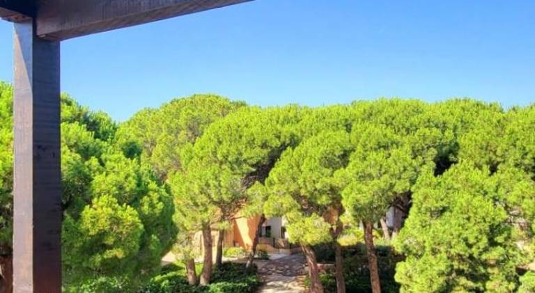 Wonderful rental apartment | Close to the beach | Pets allowed in La Grande-Motte